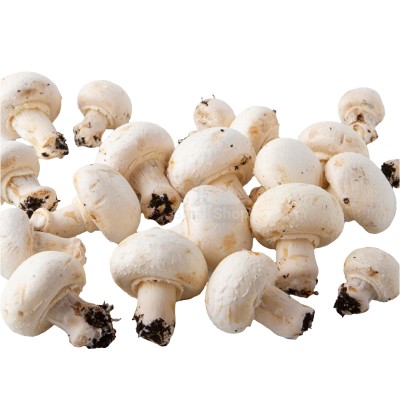 Шампиньоны свежие 500 г - купить в Иванбеляке